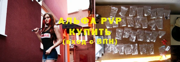 шишки Баксан
